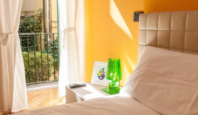 Trevi Colour- Rental in Rome