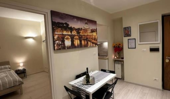 Vatican apartment,Wi-Fi,Netflix