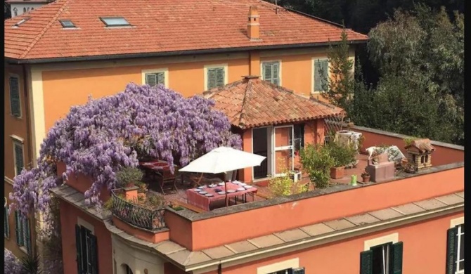 Villa Blanc House