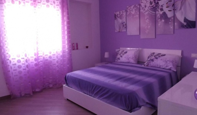 Sissi Home