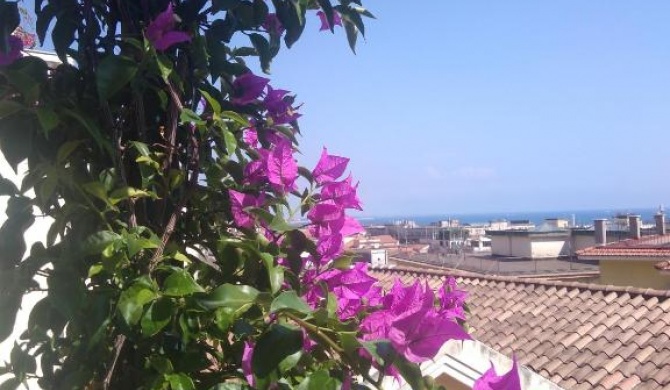 Fronte al Porto