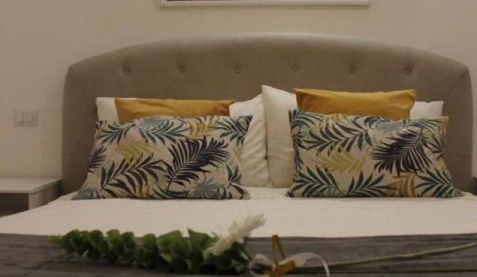 Superior Studio Flat - Vatican