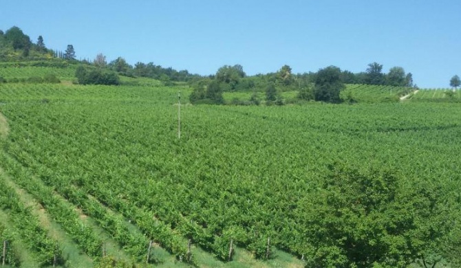Podere Greve Chianti