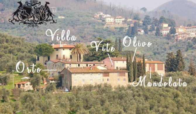 Fattoria di Fubbiano
