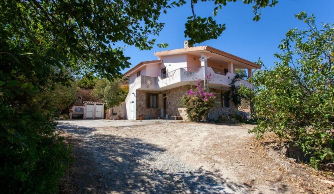 Top view in country house