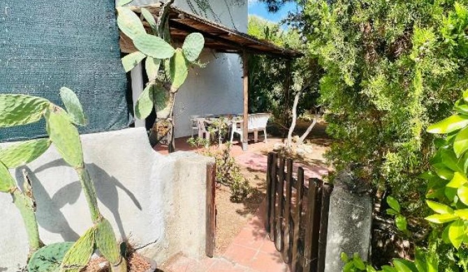 Trilocale in Centro con Giardino