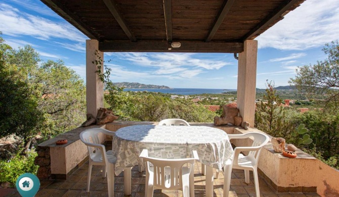 VIllino Ginepro