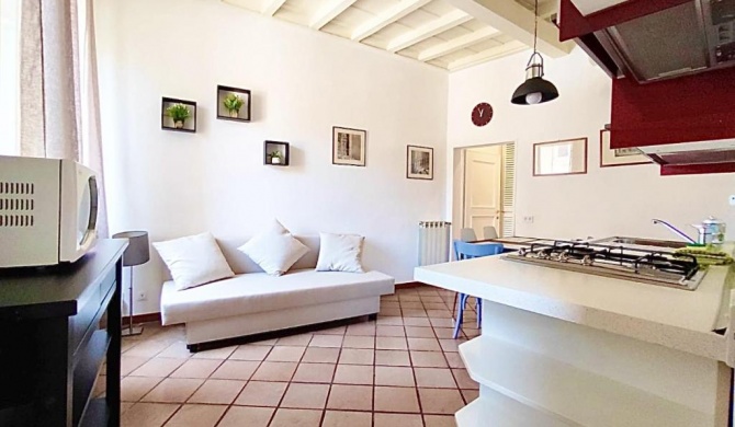 Trastevere Rome’s Heart charming apartment 88